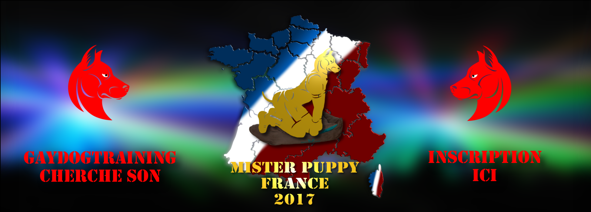 Affiches : Mister Puppy France 2017