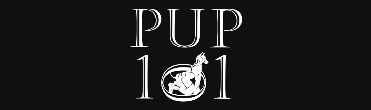 Logos : PUP 101