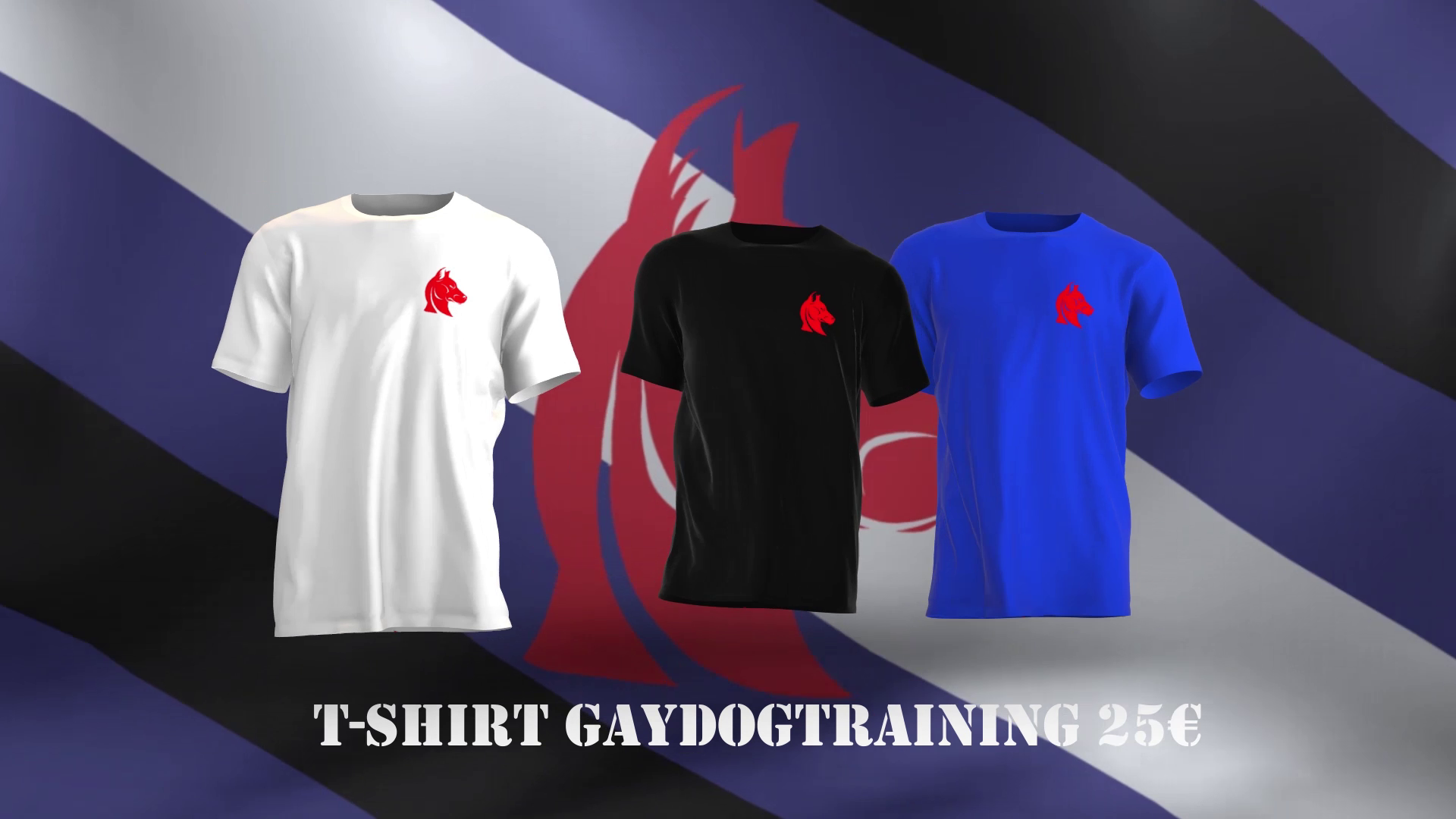 Publicité T-shirt Gaydogtraining