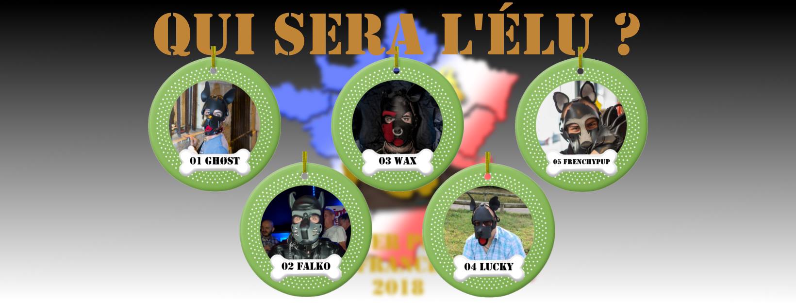 Affiches : Mister Puppy France 2018