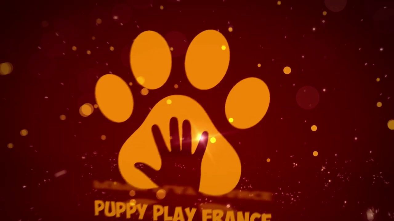 Vidéo de 2022 – Bonne année 2022 Puppy Play France