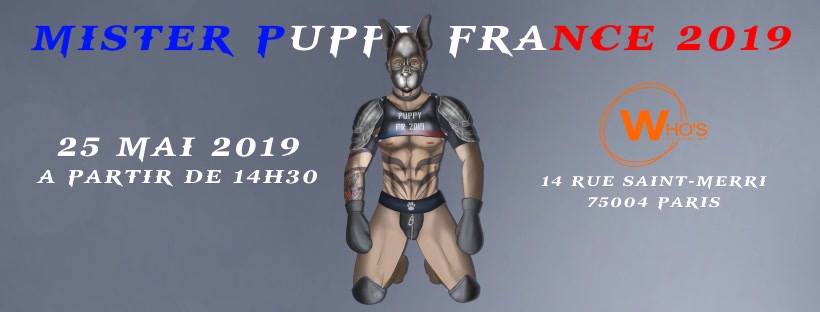 Affiches : Mister Puppy France 2019